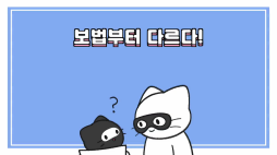 비마이펫_고양이 보법
